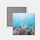 Tauchen mit farbenfrohen Riffen und Korallen Magnet (Vorderseite/Rückseite)