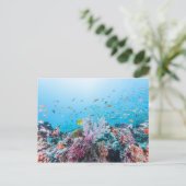 Tauchen mit farbenfrohen Riffen und Korallen Postkarte (Stehend Vorderseite)