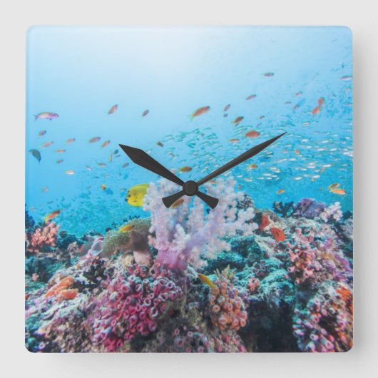 Tauchen mit farbenfrohen Riffen und Korallen Quadratische Wanduhr (Vorderseite)