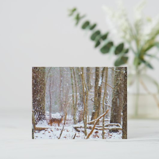 Tauchen Sie ein in den Schnee, Hirsch im Arrowhad- Postkarte (Stehend Vorderseite)