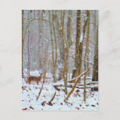 Tauchen Sie ein in den Schnee, Hirsch im Arrowhad- Postkarte (Vorderseite)