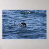 Tauchen unter poster (Vorne)