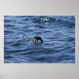 Tauchen unter poster