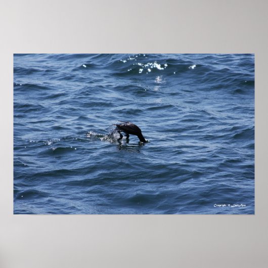 Tauchen unter poster (Vorne)