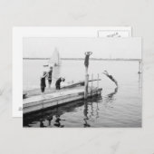 Tauchen vom Pier, 1904 Postkarte (Vorne/Hinten)