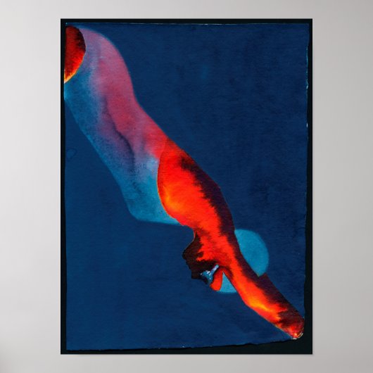 Taucher 2011 poster (Vorne)