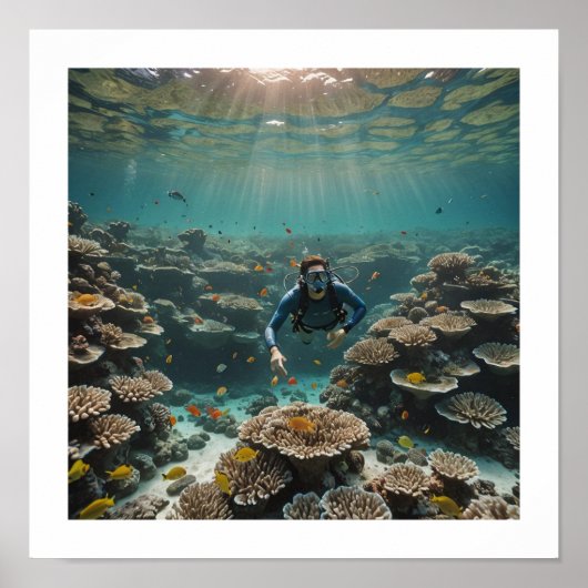 Taucher, die ein gesundes Riff genießen Poster (Vorne)