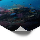 Taucher findet ein Schloss im Riff Poster (Ecke)