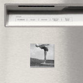 Taucher Magnet (In Situ (Geschirrspüler))