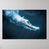 Taucher Poster (Vorne)