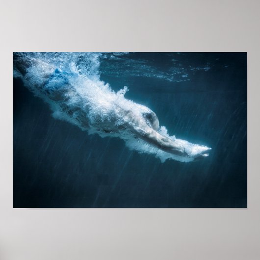 Taucher Poster (Vorne)