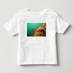 Taucher & Skorpionfisch Scorpanopsis Kleinkind T-shirt