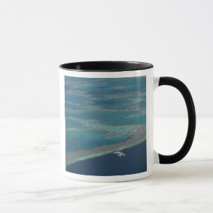 Tauchplattformen in der Nähe des Riffs, Great Barr Tasse