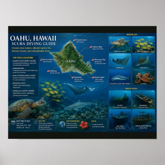 Tauchplätze auf Hawaii Poster (Vorne)