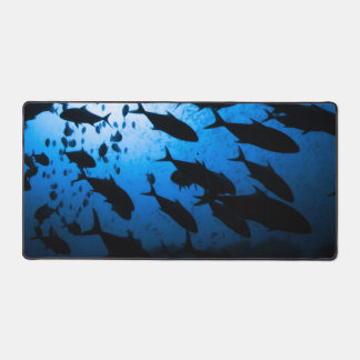 Tauchschule Schreibtischunterlage