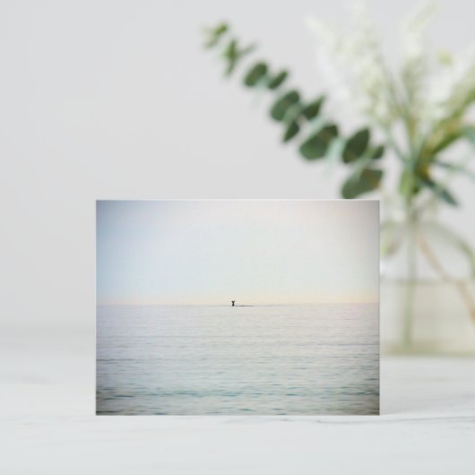 Tauchwal Postkarte (Stehend Vorderseite)