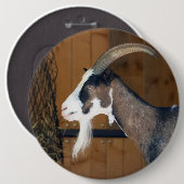 Tauernschecken-Ziege Button (Vorne & Hinten)