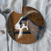 Tauernschecken-Ziege Button (Beispiel)