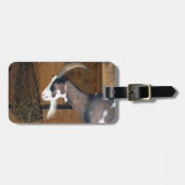 Tauernschecken-Ziege Gepäckanhänger (Vorderseite horizontal)