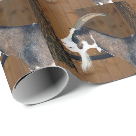 Tauernschecken-Ziege Geschenkpapier (Rolleneckpunkt)