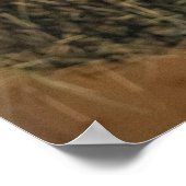 Tauernschecken-Ziege Poster (Ecke)