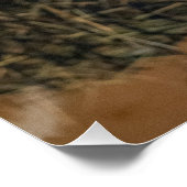 Tauernschecken-Ziege Poster (Ecke)