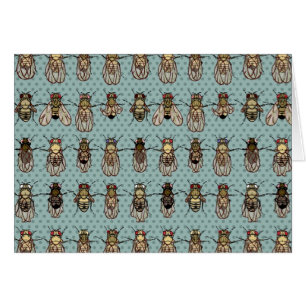 Taufliege-Frucht-Fliegen-Genetik