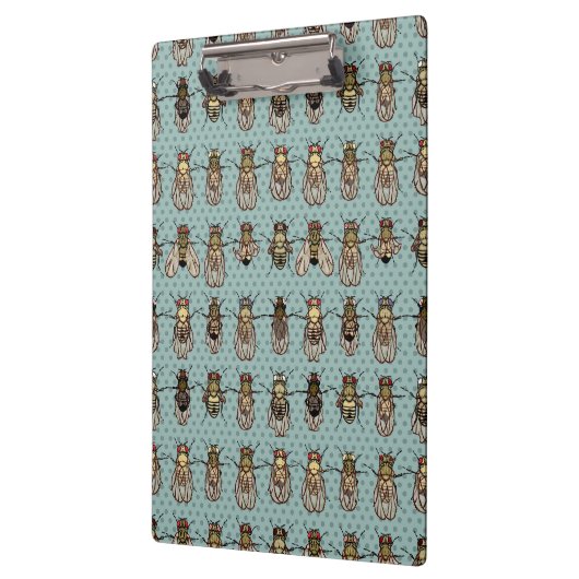 Taufliege-Frucht-Fliegen-Genetik - Mutanten Klemmbrett (Links)