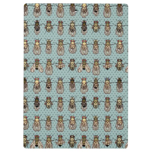 Taufliege-Frucht-Fliegen-Genetik - Mutanten Klemmbrett (Rückseite)