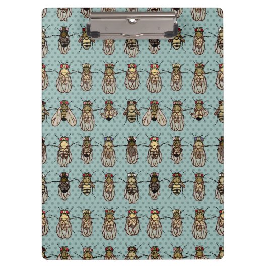 Taufliege-Frucht-Fliegen-Genetik - Mutanten Klemmbrett (Vorderseite)