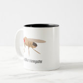 Taufliege-Kaffee-Tasse Zweifarbige Tasse (Vorderseite Links)