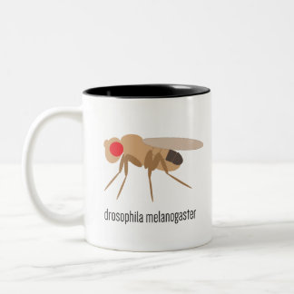 Taufliege-Kaffee-Tasse Zweifarbige Tasse