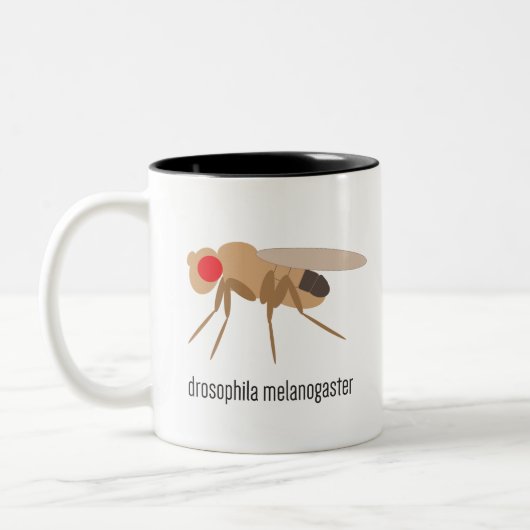 Taufliege-Kaffee-Tasse Zweifarbige Tasse (Links)