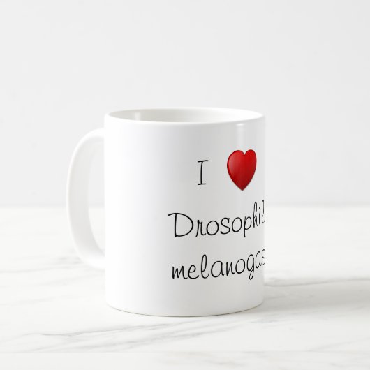 Taufliege Kaffeetasse (Vorderseite Links)