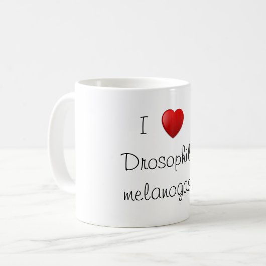 Taufliege Kaffeetasse (Vorderseite Links)