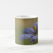 Taufrische Blaue Augen Kaffeetasse (Mittel)