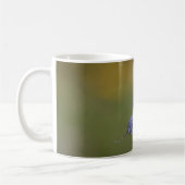 Taufrische Blaue Augen Kaffeetasse (Links)