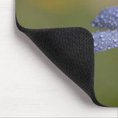 Taufrische Blaue Augen Mousepad (Ecke)