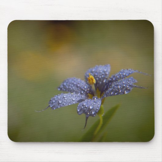 Taufrische Blaue Augen Mousepad (Vorne)