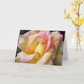 taufrische Rose Karte (Gelbe Blume)