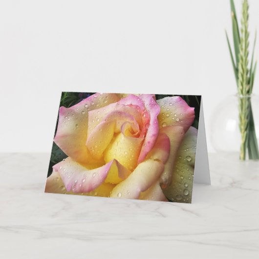 taufrische Rose Karte (Vorderseite)