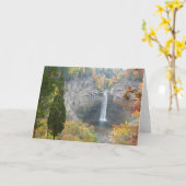 Taughannock Fälle Karte (Gelbe Blume)