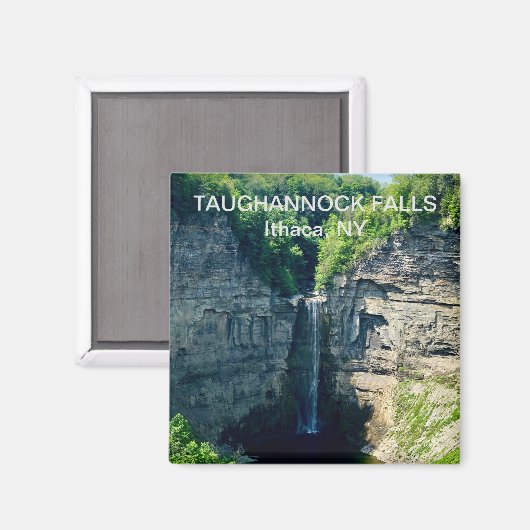 Taughannock Falls, Ithaca NY Magnet (Vorderseite/Rückseite)