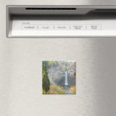 Taughannock Falls Magnet (In Situ (Geschirrspüler))