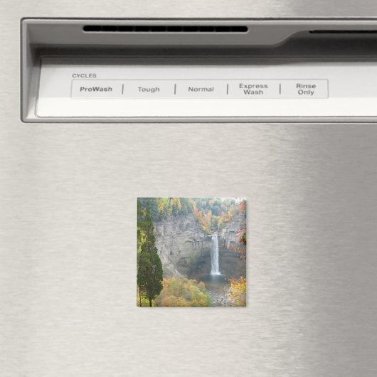 Taughannock Falls Magnet (In Situ (Geschirrspüler))
