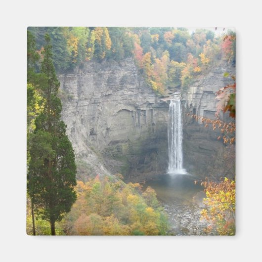 Taughannock Falls Magnet (Vorne)