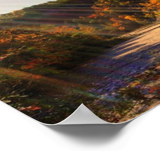 Taughannock Falls Poster (Ecke)