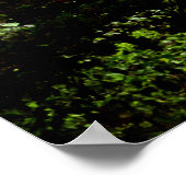 TAUGHANNOCK FALLS poster (Ecke)