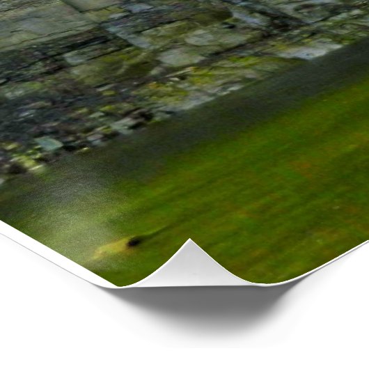 TAUGHANNOCK FALLS POSTER (Ecke)