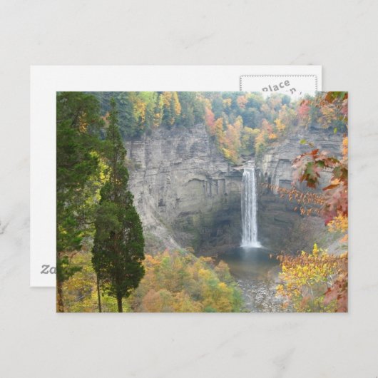 Taughannock Falls Postkarte (Vorne/Hinten)